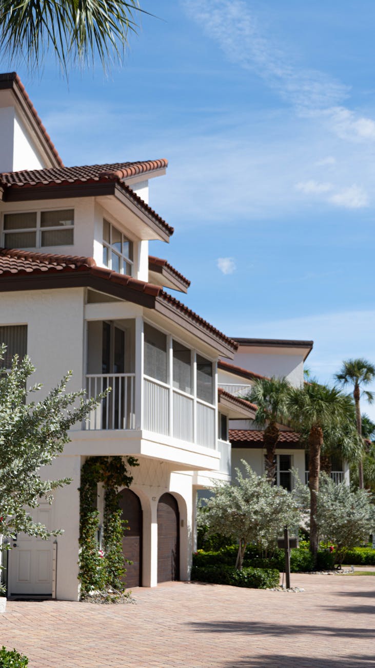 South Florida luxury residential street lined with palm trees